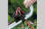 STIHL RME 339 - приспособление для фиксации сетевого кабеля