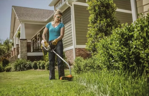 Электротриммер STIHL FSE 60