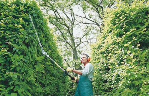 STIHl HL-KM 145° для высоких живых изгородей